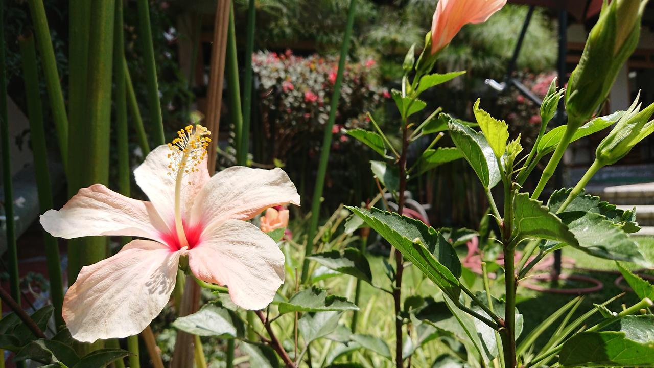 Villa Mimi Otavalo Εξωτερικό φωτογραφία